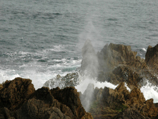 岩井崎の潮吹岩