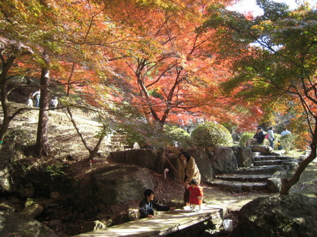 ののぱぱさんの東山公園の投稿写真1