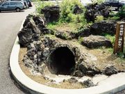 GUNBO★さんの鳴沢の熔岩樹型の投稿写真1