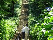 ゆきさんの葛城山麓公園の投稿写真1