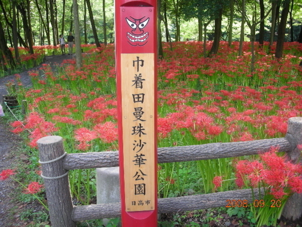 巾着田