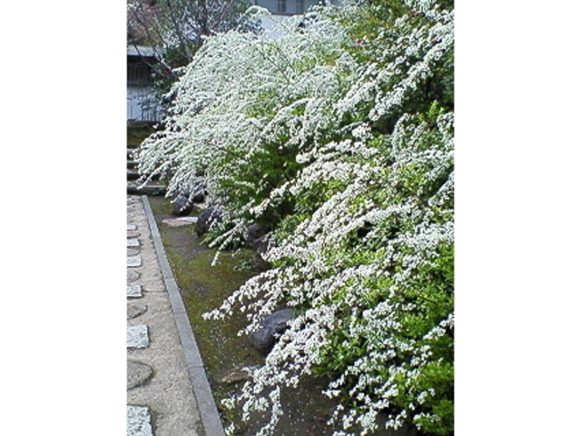 海蔵寺
