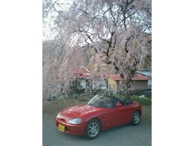 たかさんさんの松田町観光農園の投稿写真1