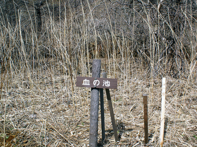 ヒゲダルマさんの血の池の投稿写真1
