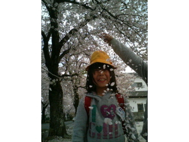 夜の森の桜並木