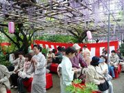 ウォーレンさんの広藤園の藤の投稿写真1