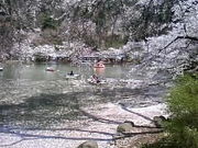 ムーンビーチさんの竜ヶ池の投稿写真1