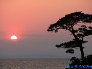 まっこうどたぐつさんの立石公園の投稿写真1