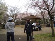 あまみほさんの舞岡ふるさと村の投稿写真1