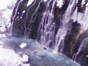 ナマカさんのびえい白金温泉の投稿写真1