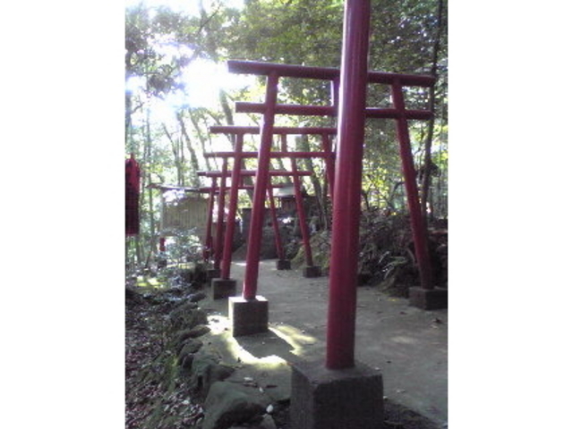狸福神社
