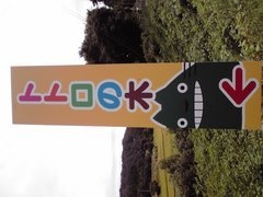 ボンさんの小杉の大杉(トトロの木)への投稿写真1