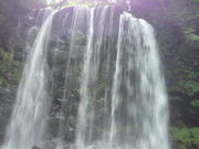 四季さんの唐沢の滝の投稿写真1