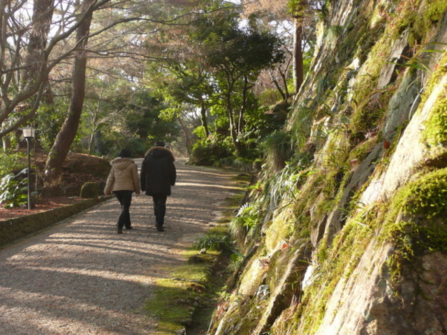 丹波亀山城跡