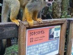 長崎バイオパークの写真1
