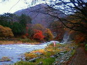 ミミさんの塩原渓谷歩道の投稿写真1
