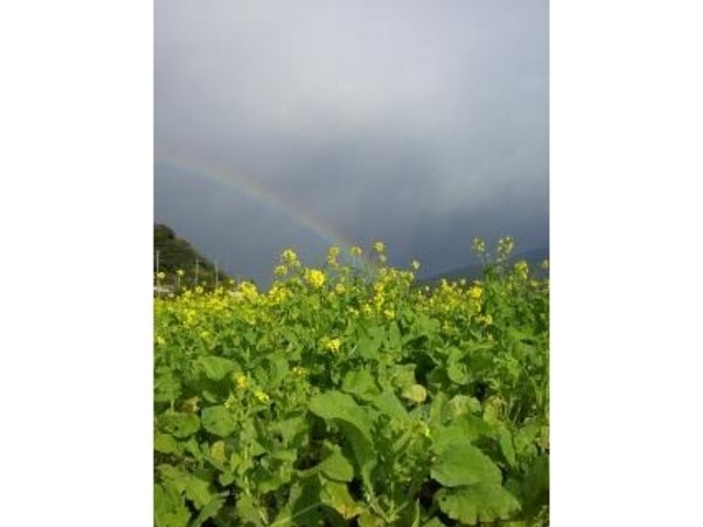 池田湖