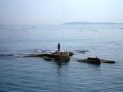 ウォーレンさんの聖崎展望台の投稿写真1