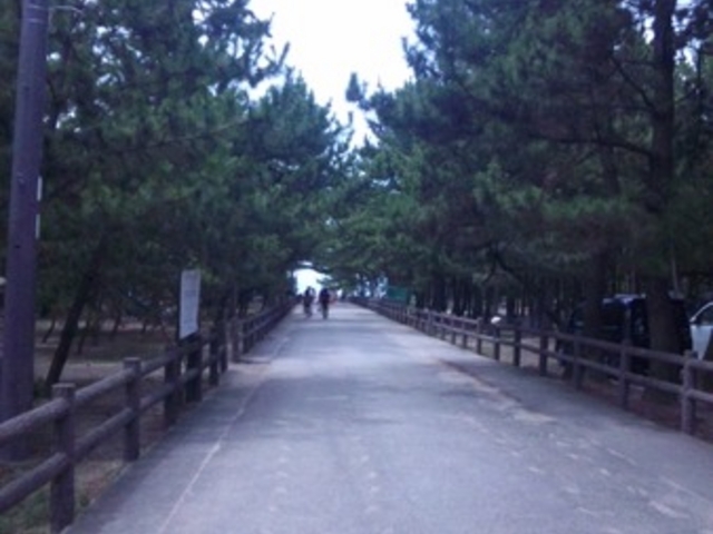 慶野松原海水浴場
