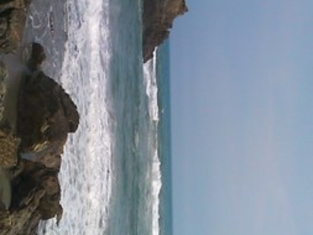 ピカチューさんの太平洋ロングビーチの投稿写真1