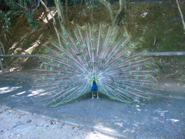 大牟田市動物園