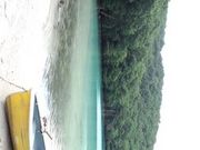 ゆっきさんの潟沼自然歩道の投稿写真1