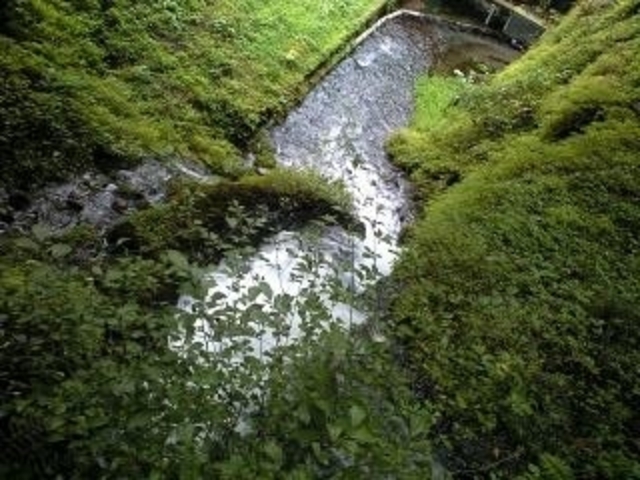 箱島湧水