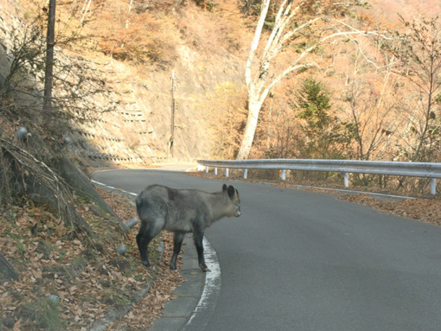 四万川