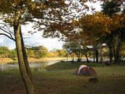 きつねさんの鳥野目河川公園 オートキャンプ場の投稿写真1