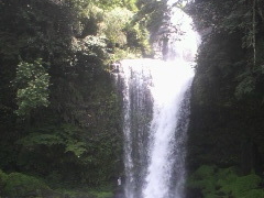 あっこさんの慈恩の滝への投稿写真1