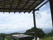 cobacolaさんのCAFEミースの投稿写真1