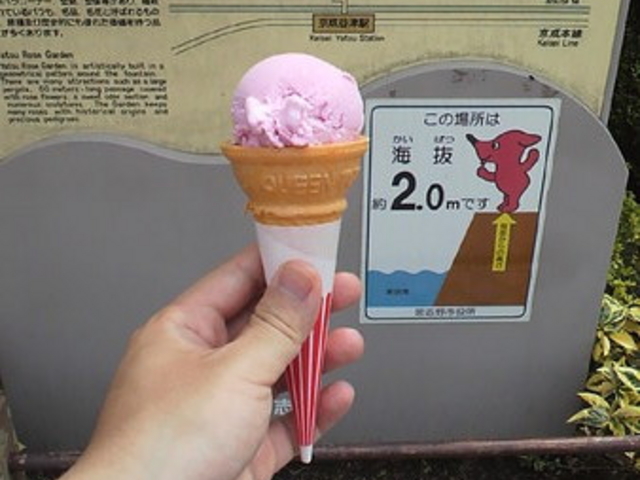 習志野市谷津バラ園