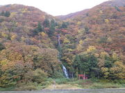 ukiさんの白糸の滝の投稿写真1