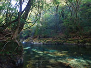 はちさんの菊池渓谷の投稿写真1