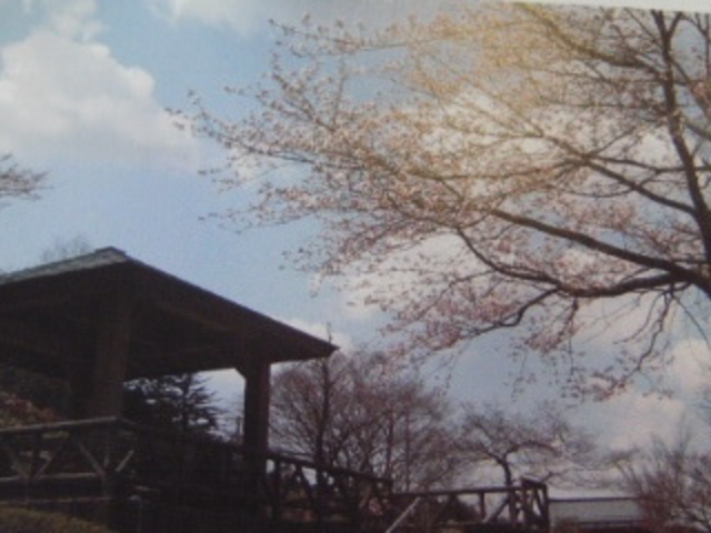 保内公園熱帯植物園温室