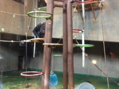 ゆうちゃんさんの旭山動物園への投稿写真1