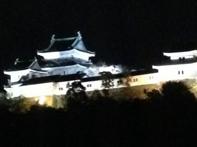 和歌山城