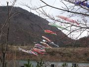 じゅんさんの七ヶ宿ダム自然休養公園の投稿写真1