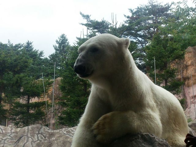 八木山動物公園フジサキの杜(仙台市八木山動物公園)