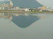 DN.CAMIROさんの飯野山(讃岐富士)の投稿写真1