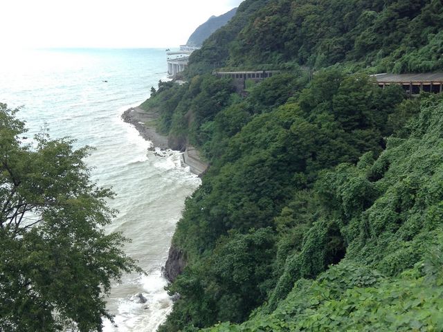 親不知
