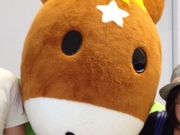 ayuaさんの日本中央競馬会札幌競馬場の投稿写真1