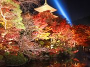 ちゃんなみさんの清水寺の投稿写真1