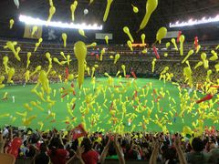 suubodyさんのみずほPayPayドーム福岡への投稿写真1