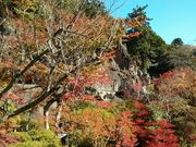 おいねさんの那谷寺の投稿写真1