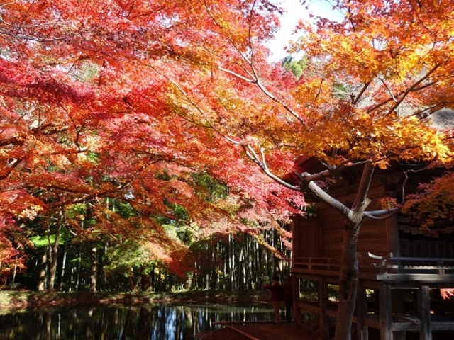 こんな風景があちこちにありました。_中尊寺