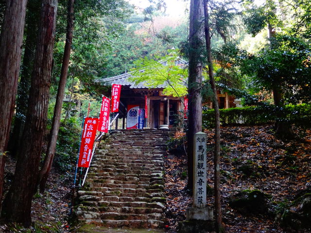 本堂と石段_馬居寺