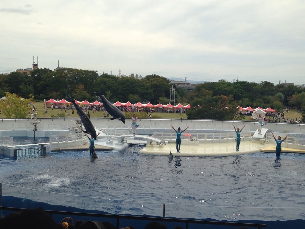 京都水族館