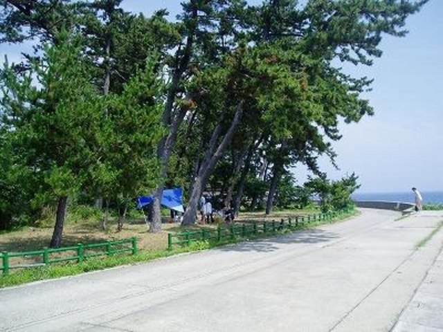 パタさんの内浦海水浴場の投稿写真1