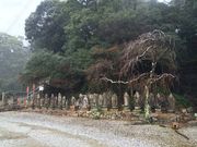 あがっち!さんの摩訶耶寺の投稿写真4